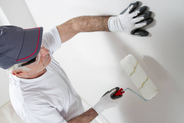 Best Attic Mold Removal  in Gower, MO